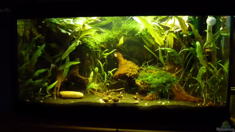 AQ am 30.08.12 von Annika (1)