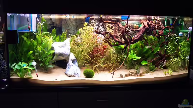 Aq am Abend von Mathias John (2)