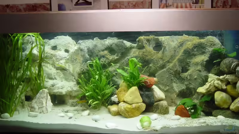 AQ Becken mit Unterschrank Eigenbau 