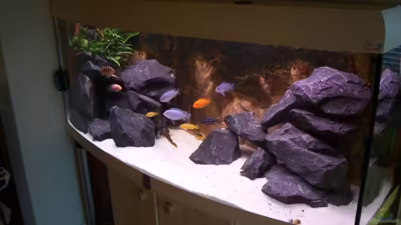 AQ Frontansicht von Michael Boeck (3)