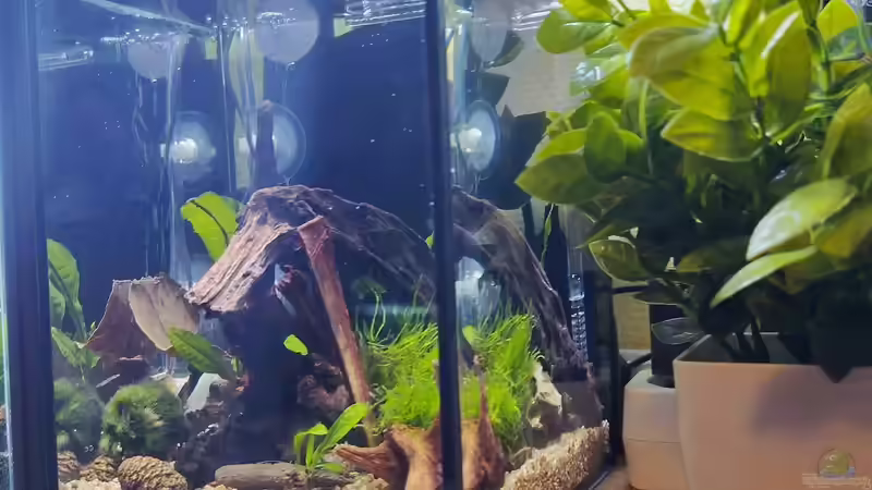 AQ Gesamt von HOTU (8)