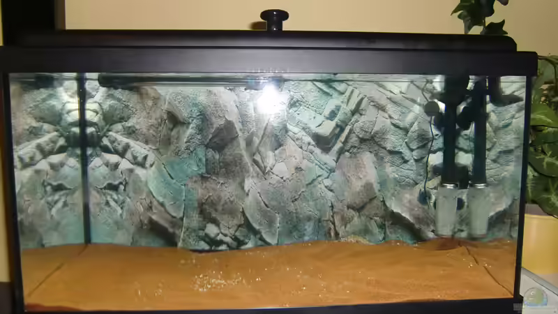 AQ im Aufbau von HOTU (3)