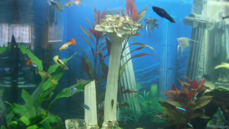 AQ linke Seite von Patrik Holz (2)