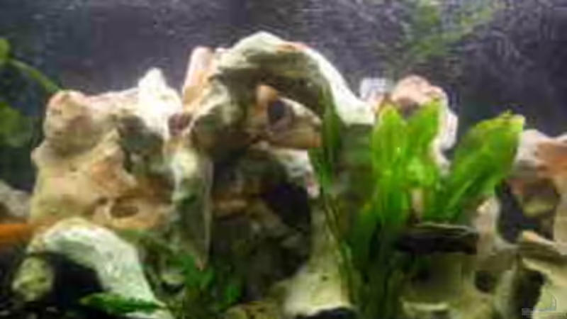 AQ Mitte von Janita Webeler (3)