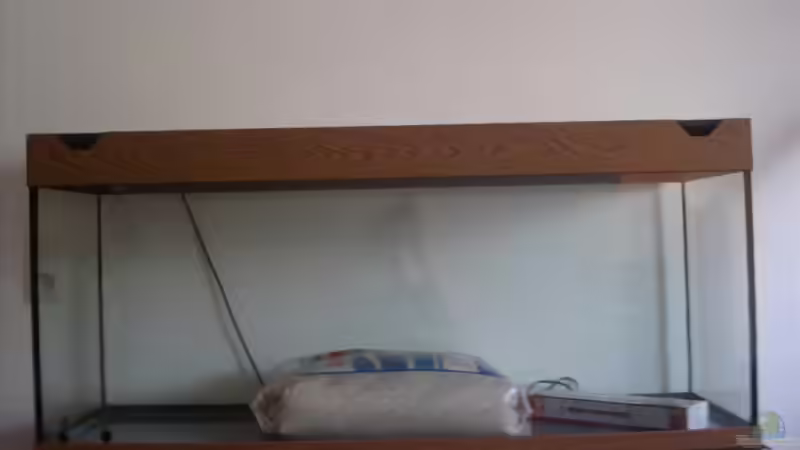 Aq noch in Arbeit von DMX