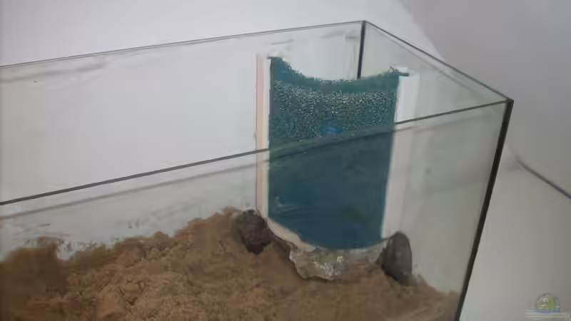 Aq steht am alten Platz..hinter den Steinen ist das erste Filtermaterial von Exotist (8)