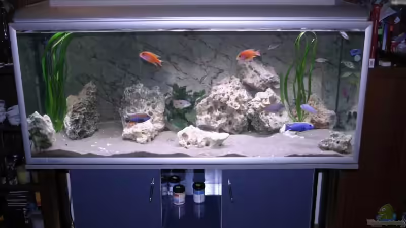 AQ von Aquastabil von Roland Figura (1)