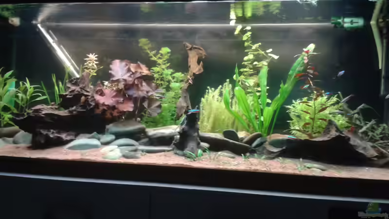 AQ von Kai Heermann (2)