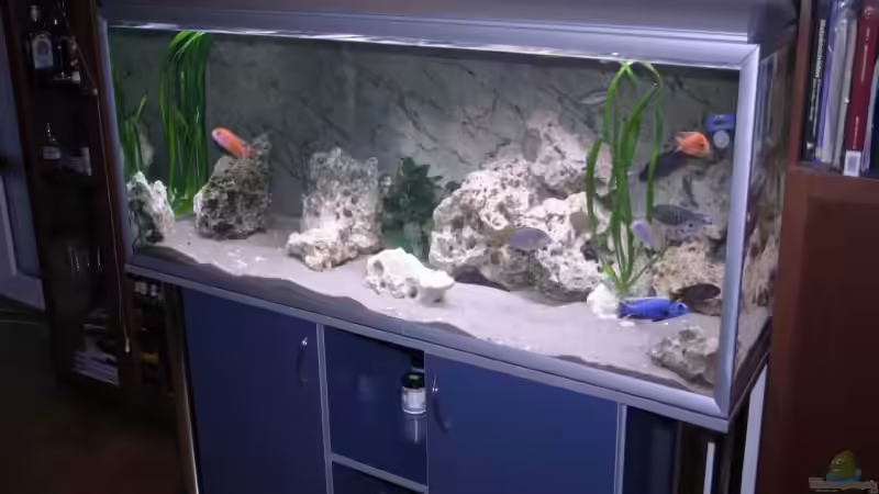 AQ von rechts von Roland Figura (3)