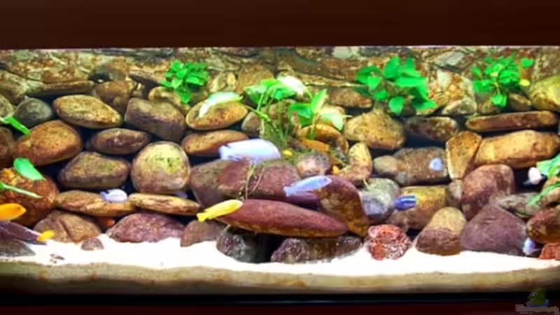 AQ vor der Neueinrichtung von Steffen Haß (2)