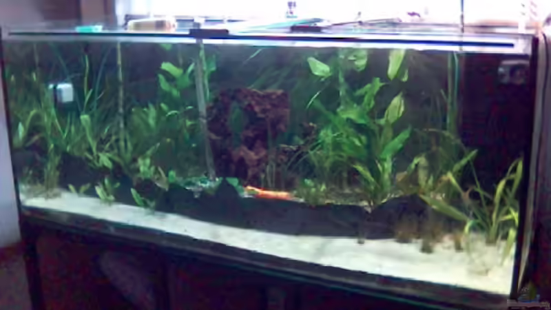 AQ1 von Marco Meyer (4)