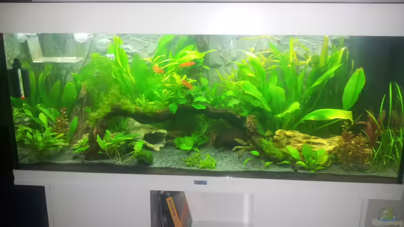 Aqua Art von Nixe1991 (1)