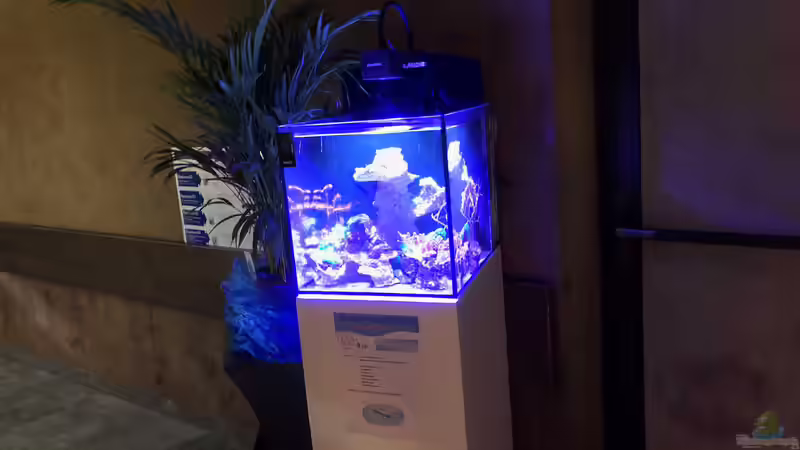 Aqua-Day 2018 der Aquarienfreunde Tirol