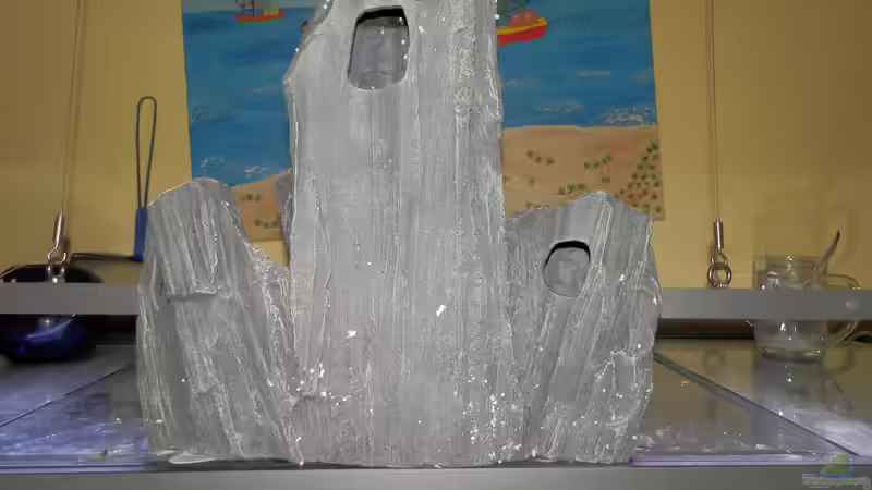 Aqua Della 19.1.19 von Malamute (25)