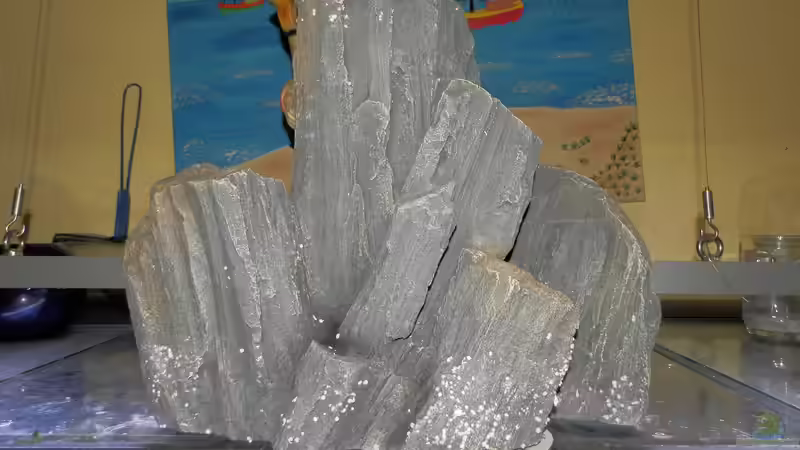 Aqua Della 19.1.19 von Malamute (26)