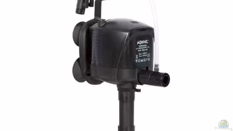 Aqua el von Cali20 (17)