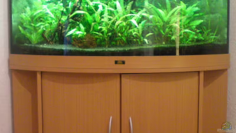 Aqua (mit Katze) von Thomas Ahrens (7)