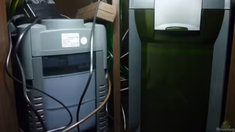Aqua Pro 3 und Eheim Professional 3e 2076 Außenfilter von AjakAndi (21)