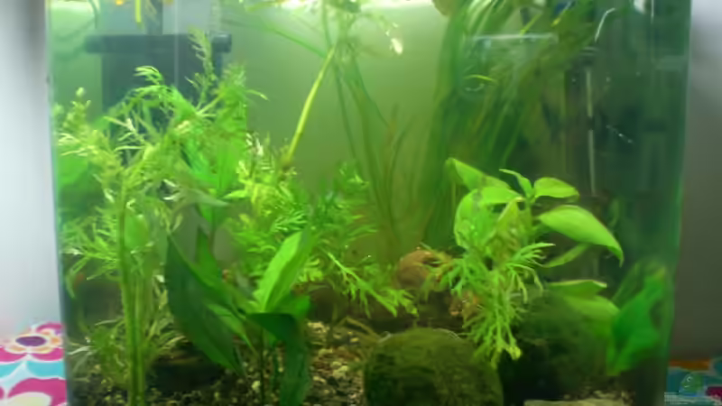 Aqua Qube 25 von ninimuckel (1)