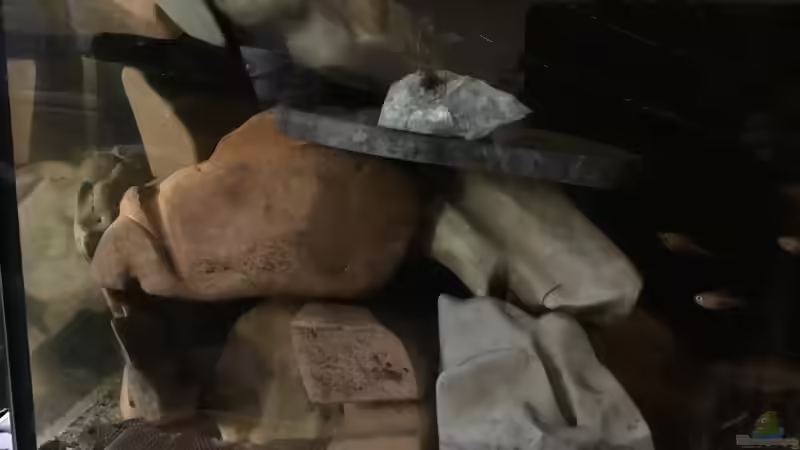 Aqua Stone Art  von Reneè Thissen (3)