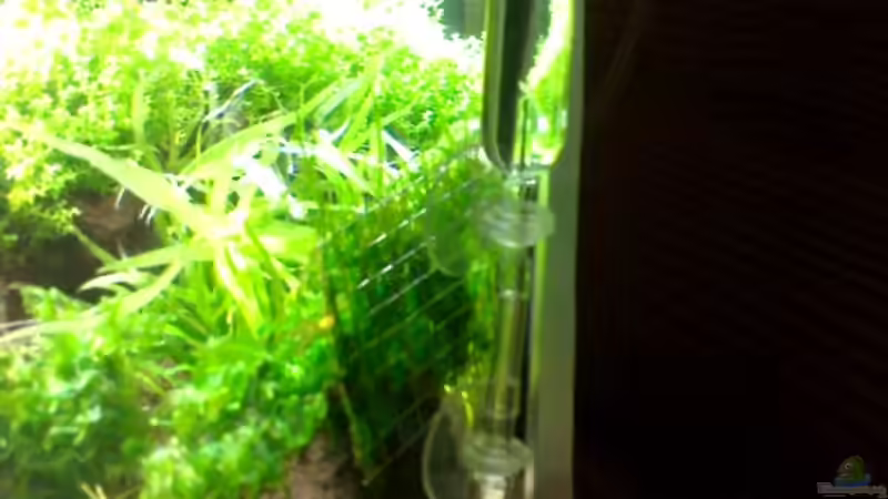 Aqua-Stop, Bläschenzähler von Marc Joist (17)