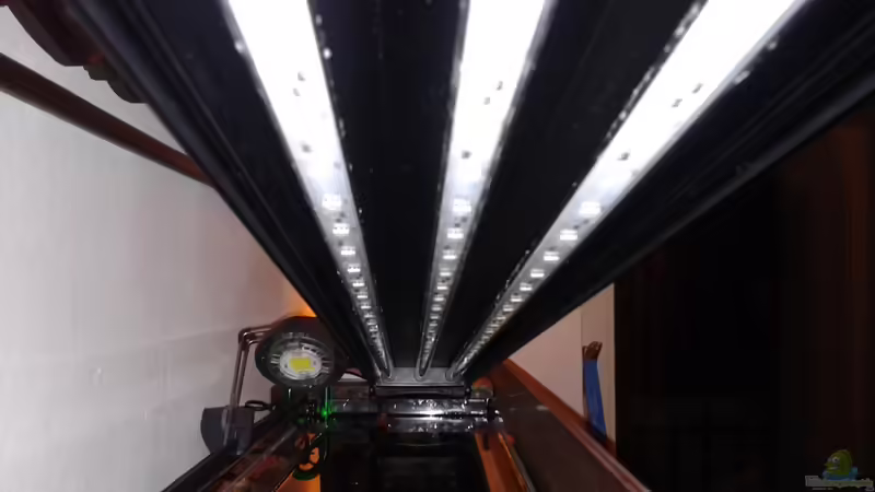 Aqua Syncro von Bjarke (35)