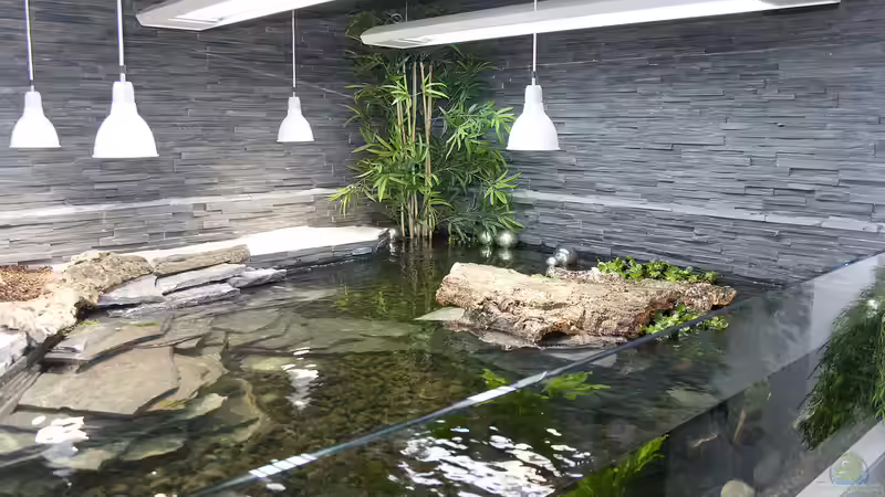 Aqua-Terrarium Totale von Hoppe-Terrarienbau (2)