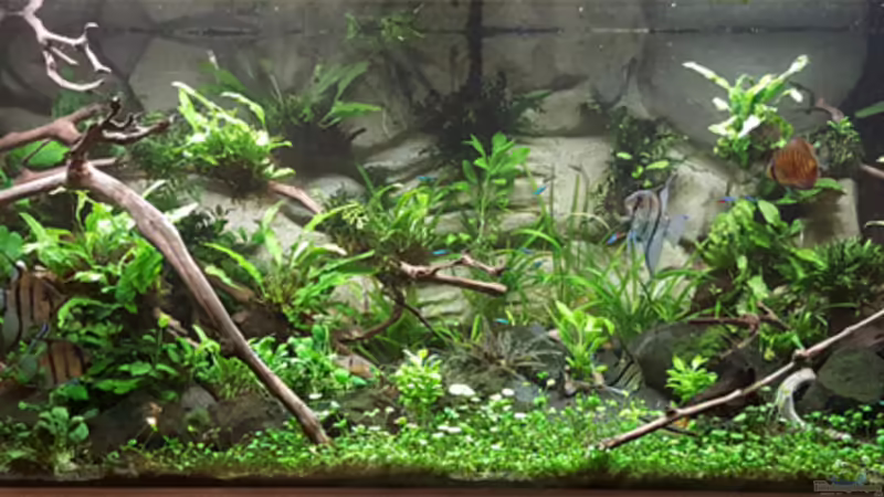 Aqua0 von Sascha Frankfurt (10)