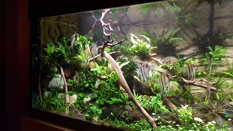 Aqua1 von Sascha Frankfurt (3)