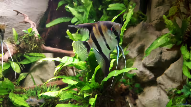 Aqua5 von Sascha Frankfurt (7)