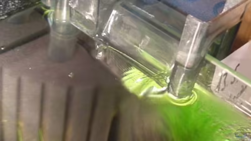 Aquaclear Mini 20 von Timo Wünsche (34)