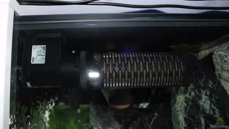 Aquaclear Powerhead 70 mit Patronenfilter von Mbuna_Memo (14)