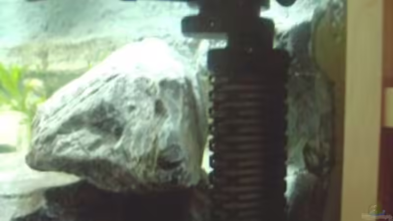 AquaClear Powerhead 802 (70) mit Filterkorb von rolli174 (17)