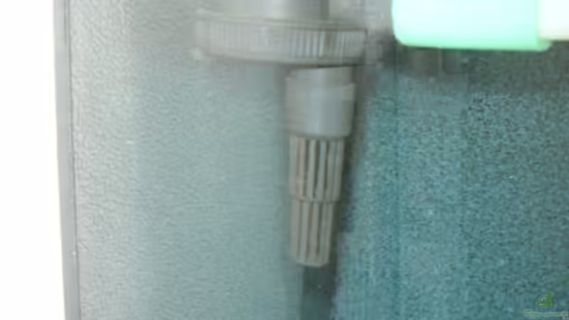 Aquaclear Powerhead von Carsten Ziß (9)