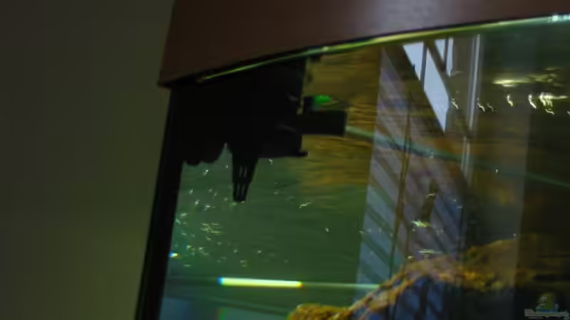 AquaClear Powerhead von THORS10 (16)