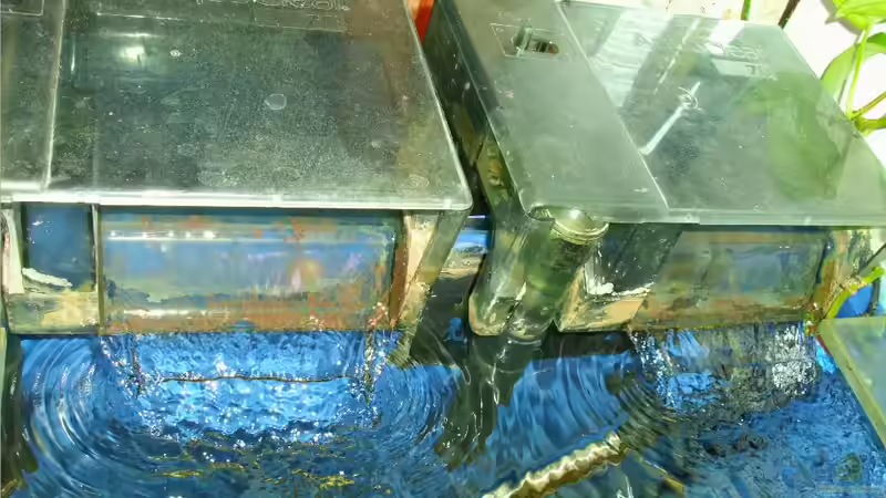 Aquaclear70 Hängeaussenfilter von chrismalawifan (20)