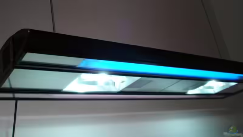 Aquaconnect Ufo 2x150 Watt + 2x100 Watt Blaulicht+ 2x T5 a30Watt von Mario Dorner (27)