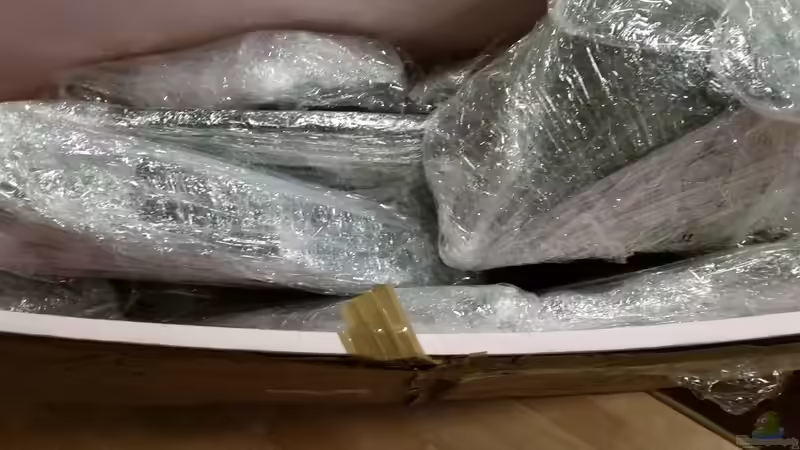 Aquadecor Paket von baumringzaehler (20)