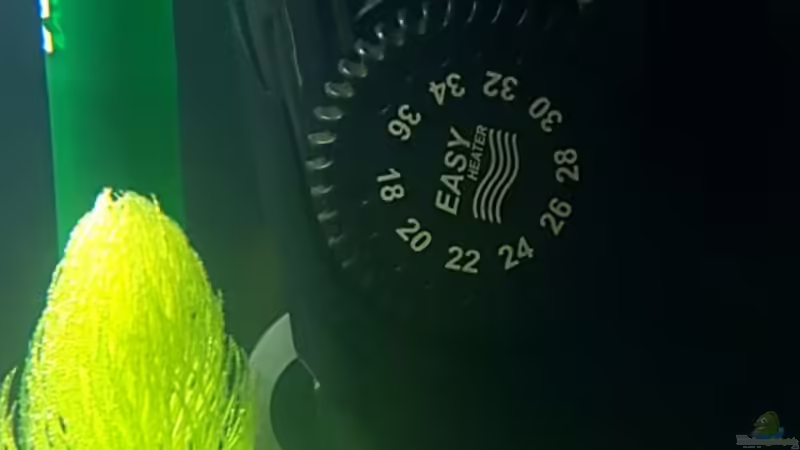 AquaEl EasyHeater von YoshiMaus (24)