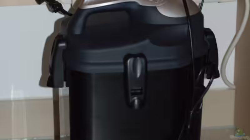 Aquael Unimaxx 250  von Nadinsche (14)