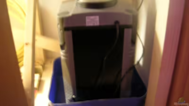 Aquakitz von Christian Müller (7)