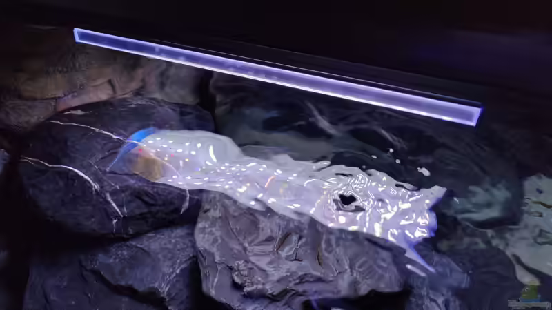 aquaLUMix AFRICAN-SUN 34cm von LEDaquaristik.de (12)