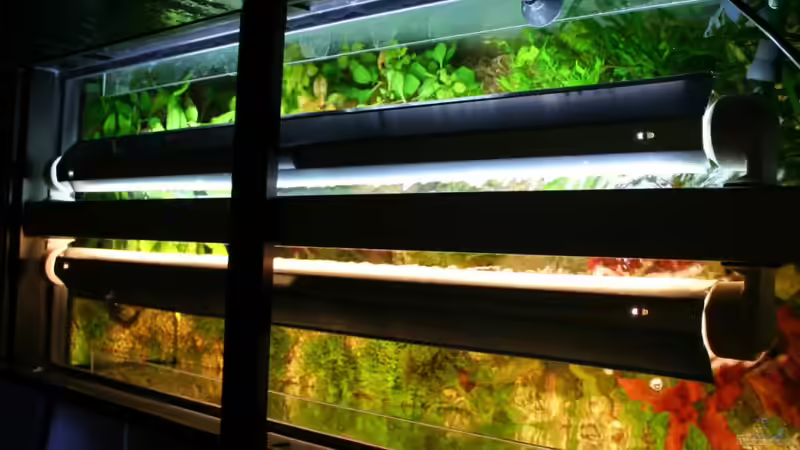 Aqualux Leuchtbalken 2 X T5 Röhren a 39 Watt mit Reflektoren von Juwel von Tom G. (12)