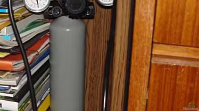 Aquamas CO2 Gerät mit Nachtabschaltung von hej kompisar (15)