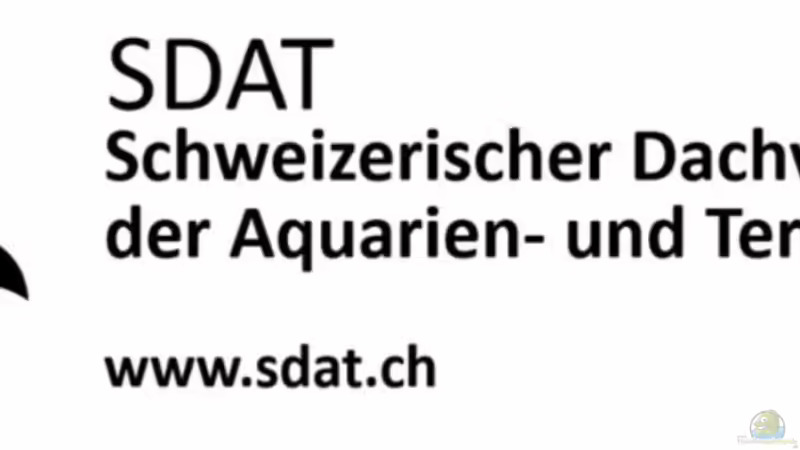 Aquarien- und Terrarien-Vereine wozu?