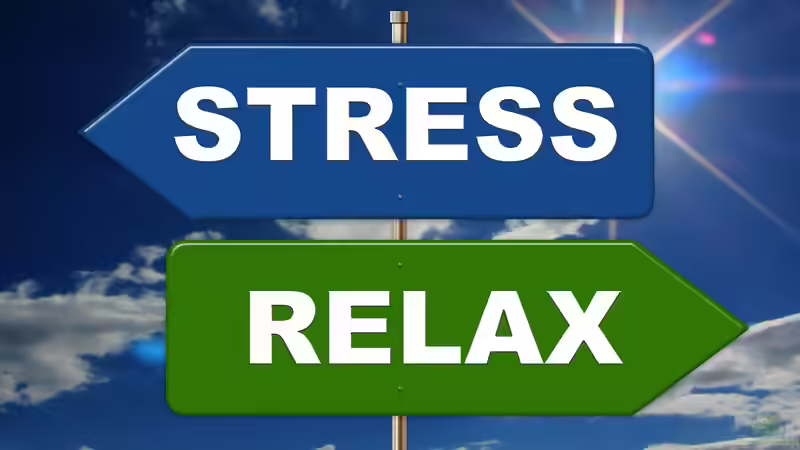 Aquarien als Mittel zum Stressabbau