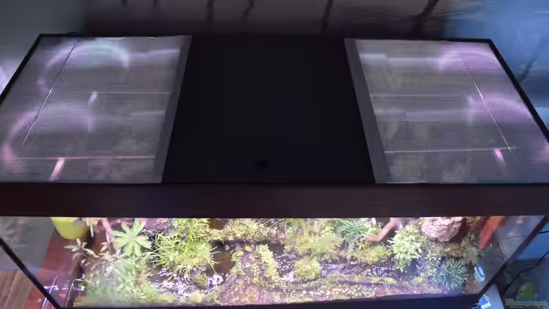 Aquarienabdeckung mit zurechtgeschnittenen Lochblechen von Junglist (56)