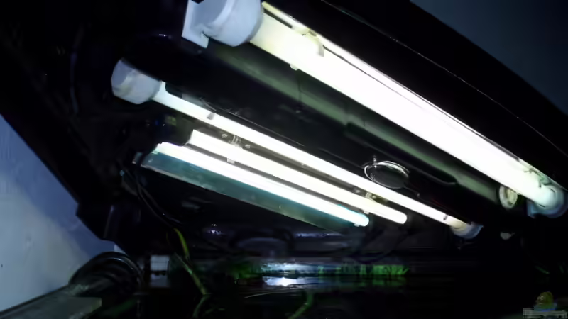 Aquarienabdeckung von unten, hinten 2x24w T5 u. vorne 2x20w T8 von ~Marco~ (39)