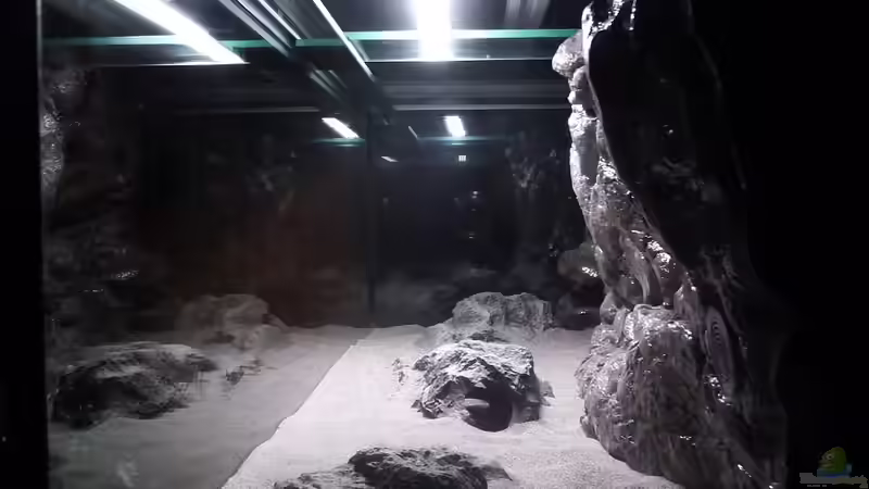 Aquarienansicht seitlich von DER YBBSTALER (53)