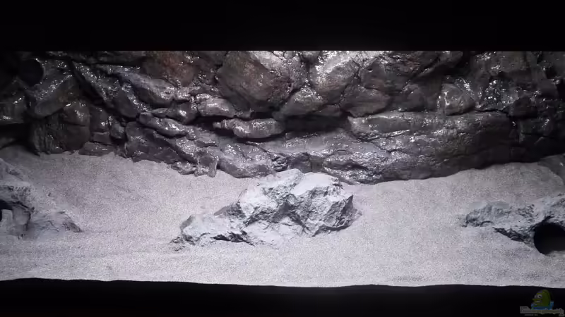 Aquarienansicht von vorne von DER YBBSTALER (52)